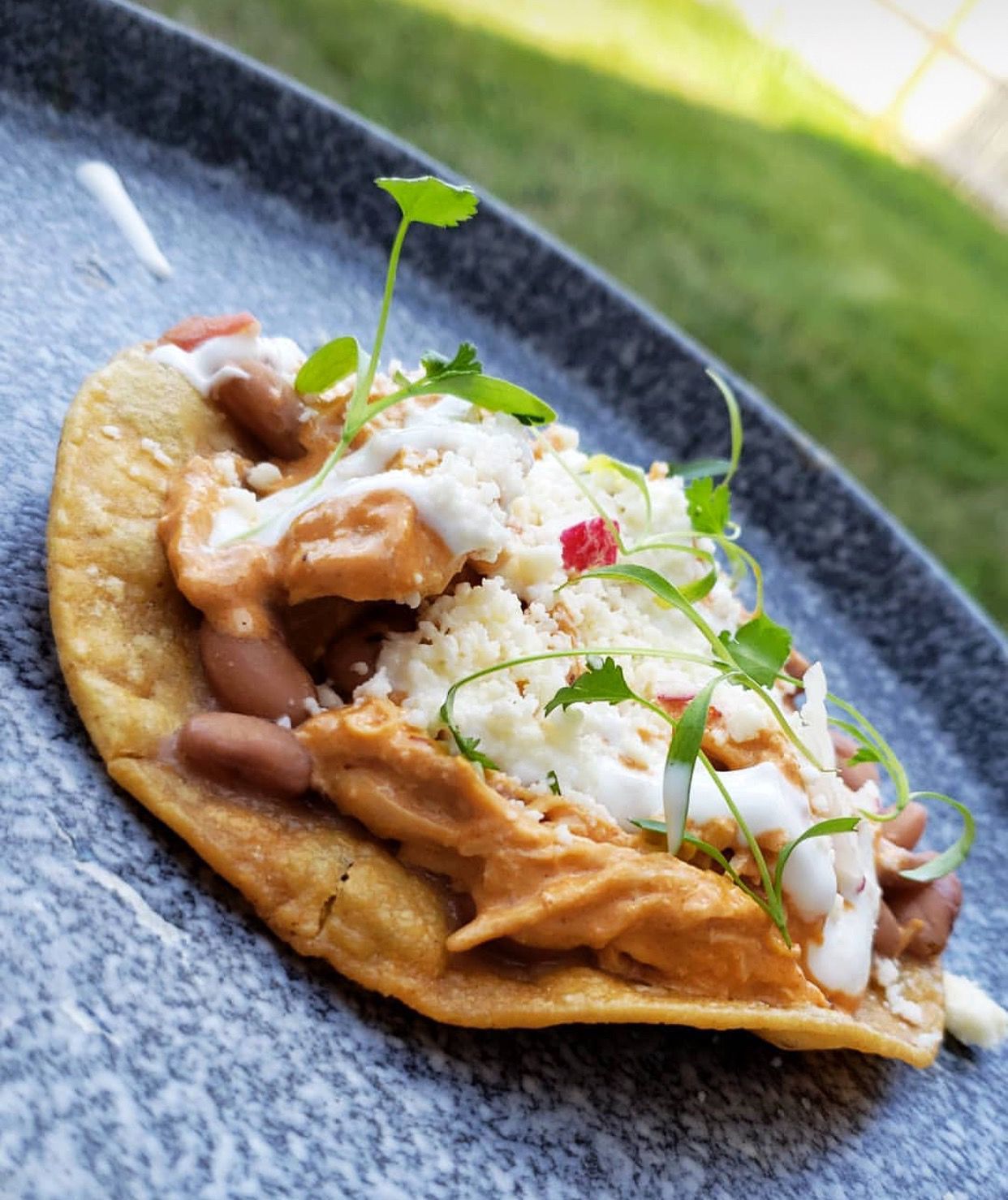taco-cilantro